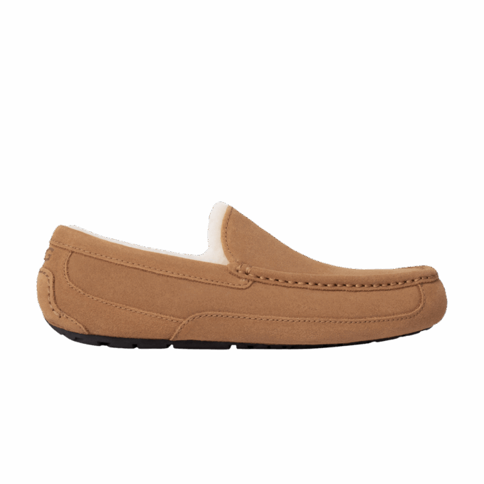UGG Ascot Slipper Chestnut
