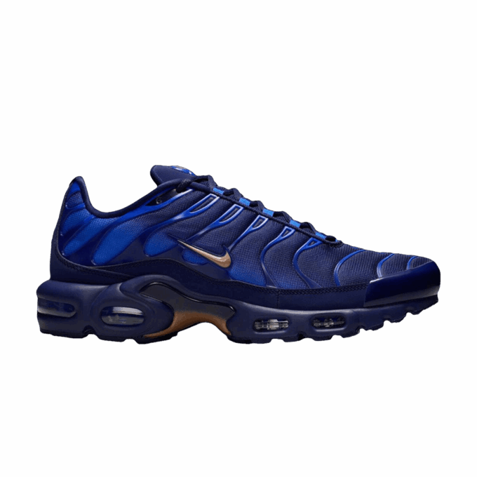 Nike Air Max Plus French Football Federation